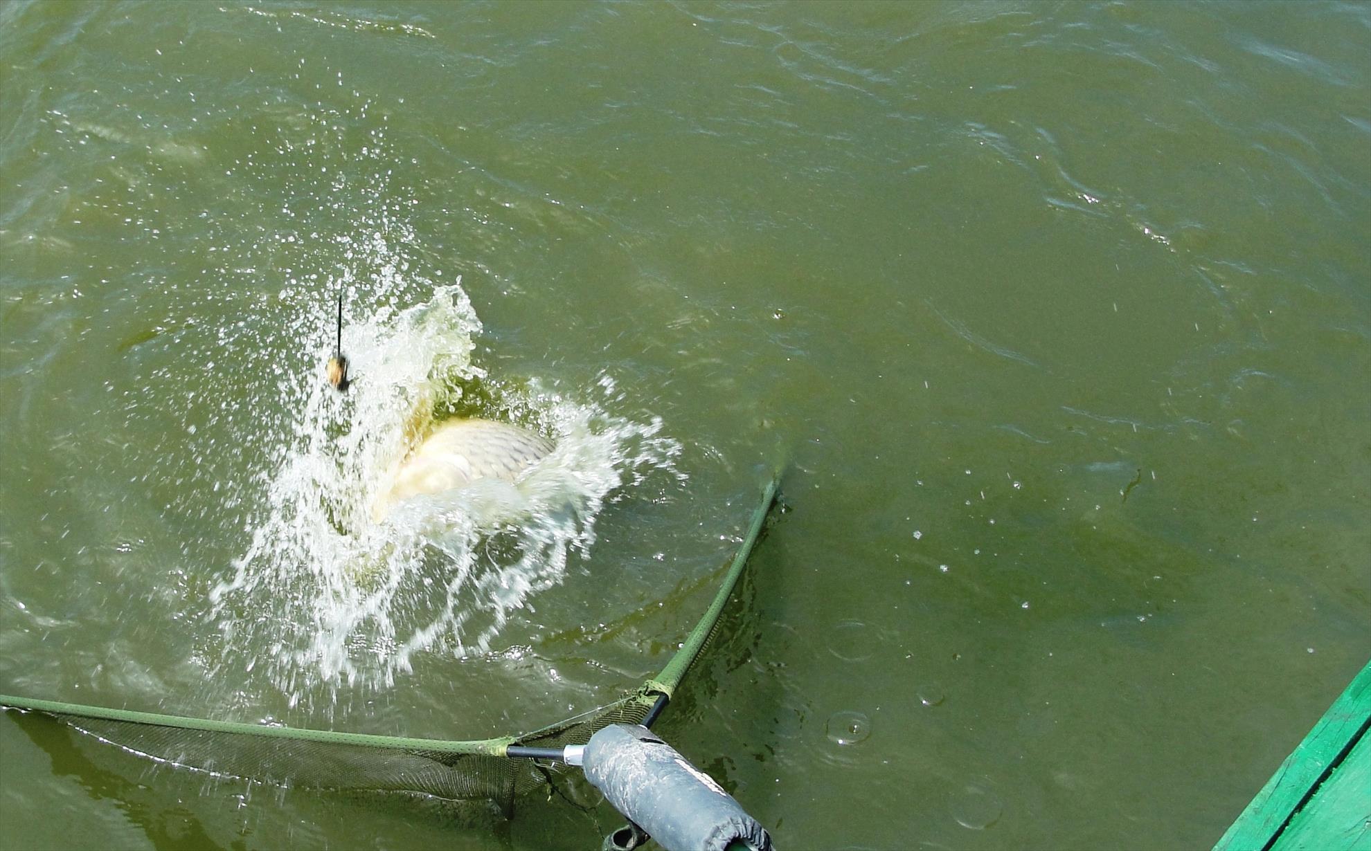 Moara Vlasiei 2 - 9 iunie partea a doua - dsc001532.jpg